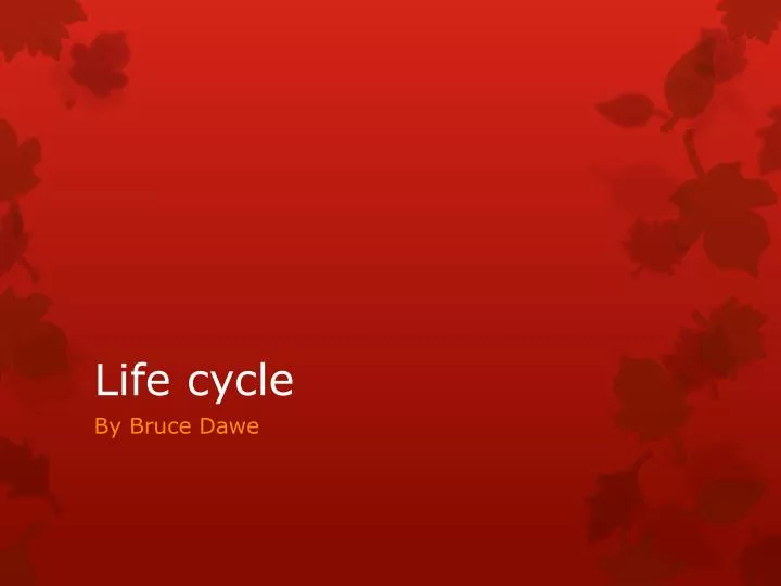 life cycle