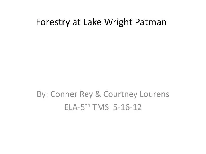 forestry at lake wright p atman