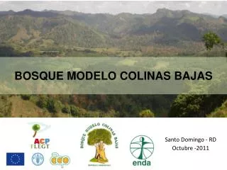 bosque modelo colinas bajas