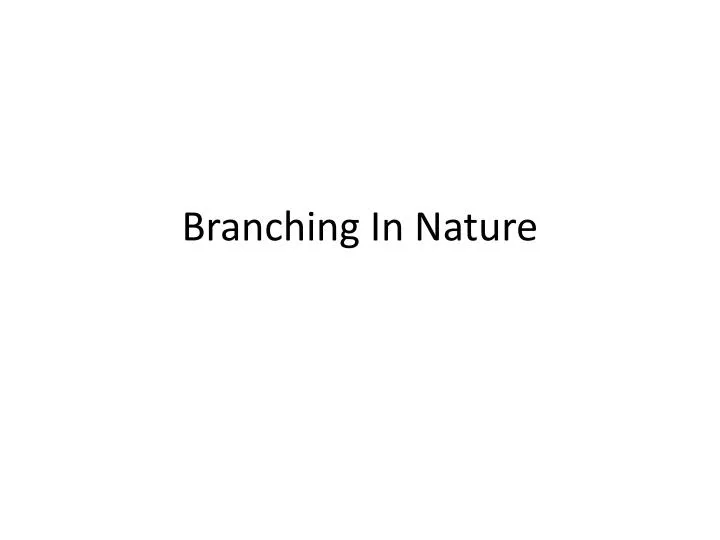branching in nature