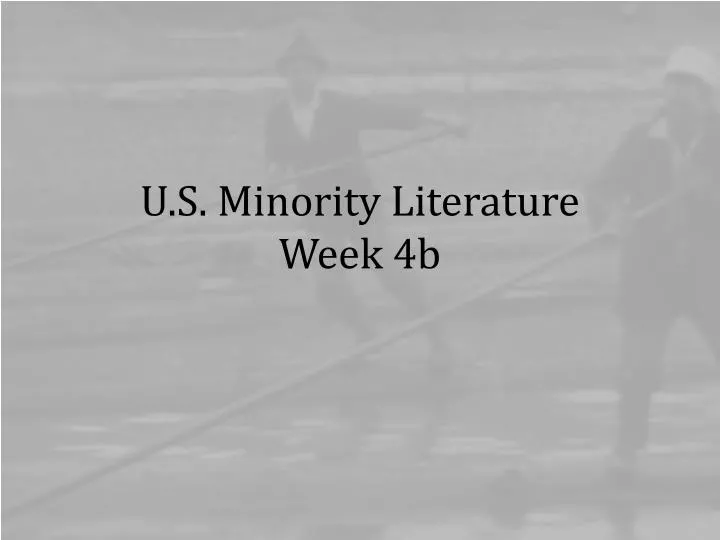 u s minority literature week 4b