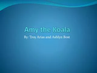 Amy the Koala