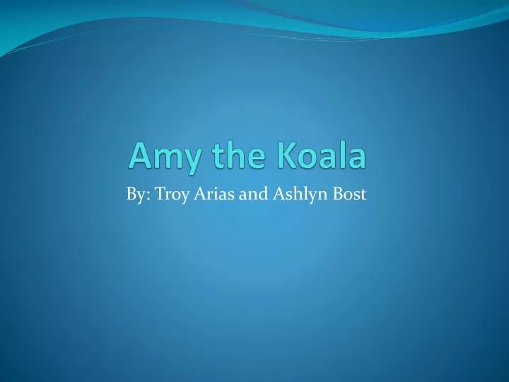 amy the koala