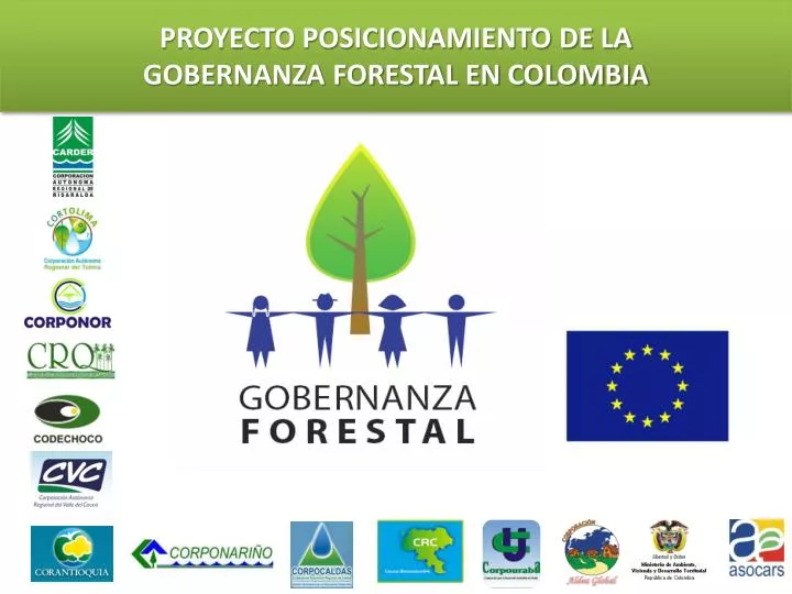 proyecto posicionamiento de la gobernanza forestal en colombia