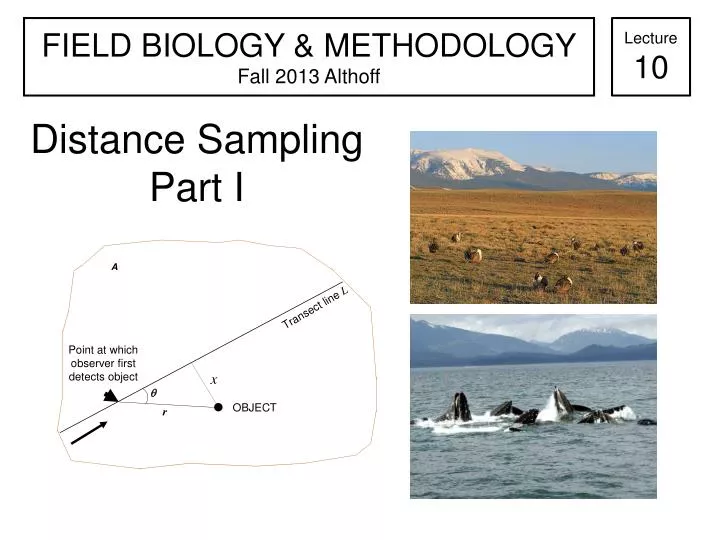 distance sampling part i