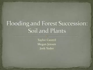 Flooding and Forest Succession: Soil and Plants