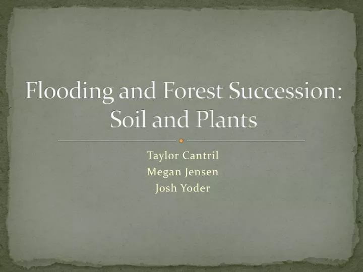 flooding and forest succession soil and plants