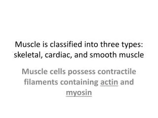 Muscle is classified into three types: skeletal, cardiac, and smooth muscle