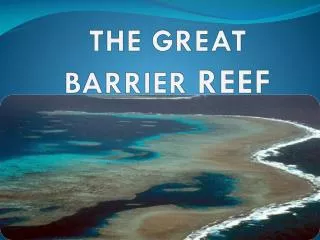 THE GREAT BARRIER REEF