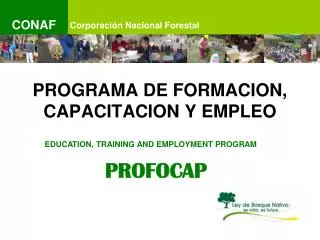 PROGRAMA DE FORMACION, CAPACITACION Y EMPLEO