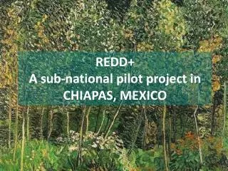 REDD+ A sub-national pilot project in CHIAPAS, MEXICO