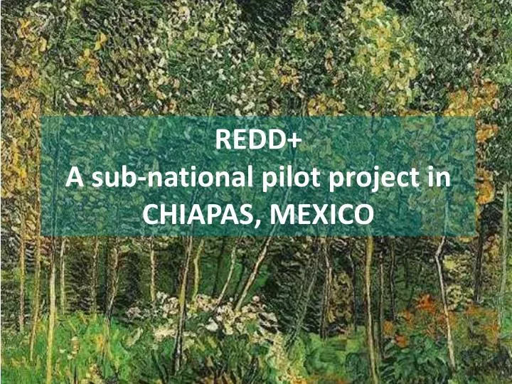 redd a sub national pilot project in chiapas mexico