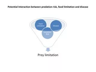 Potential Interaction between predation risk, food limitation and disease