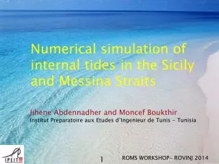 Numerical simulation of internal tides in the Sicily and Messina Straits
