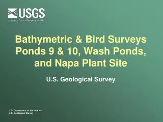 Bathymetric &amp; Bird Surveys Ponds 9 &amp; 10, Wash Ponds, and Napa Plant Site