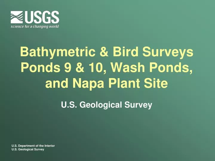 bathymetric bird surveys ponds 9 10 wash ponds and napa plant site