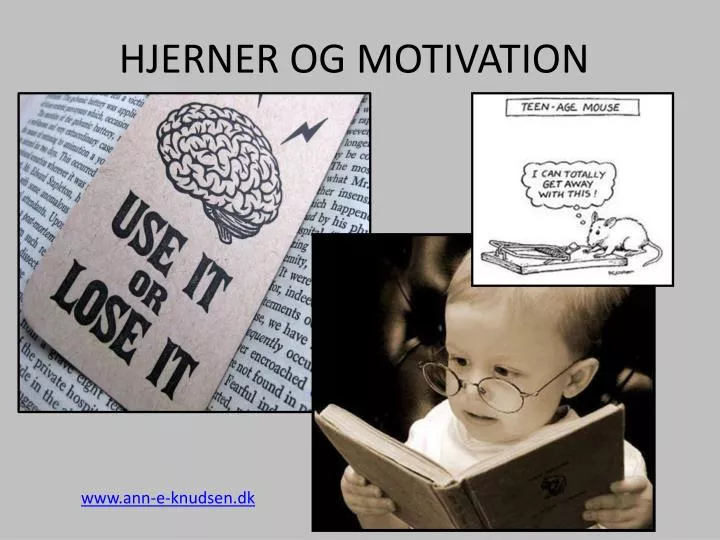 hjerner og motivation