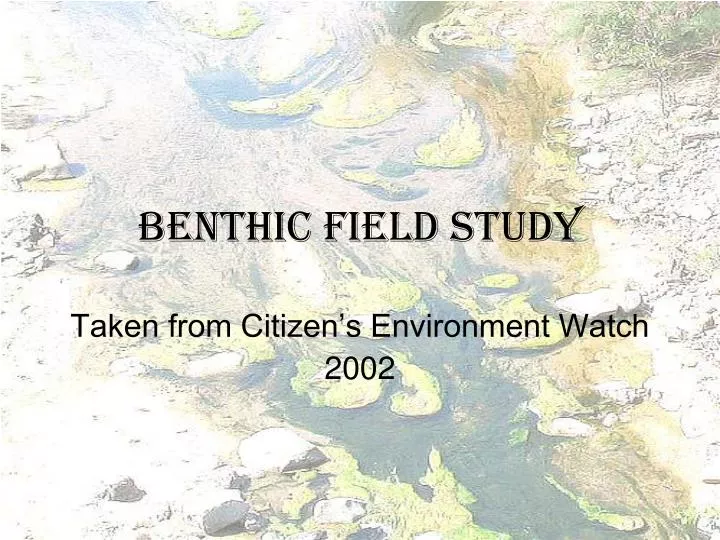 benthic field study
