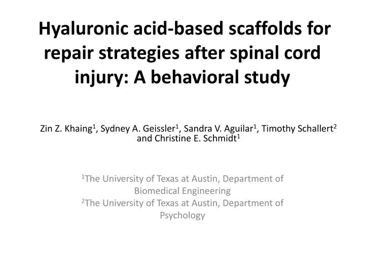 hyaluronic acid based scaffolds for repair strategies after spinal cord injury a behavioral study