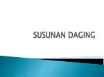 SUSUNAN DAGING - slide 1