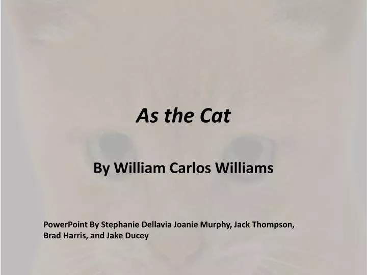 as the cat