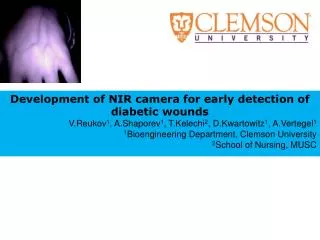 Development of NIR camera for early detection of diabetic wounds