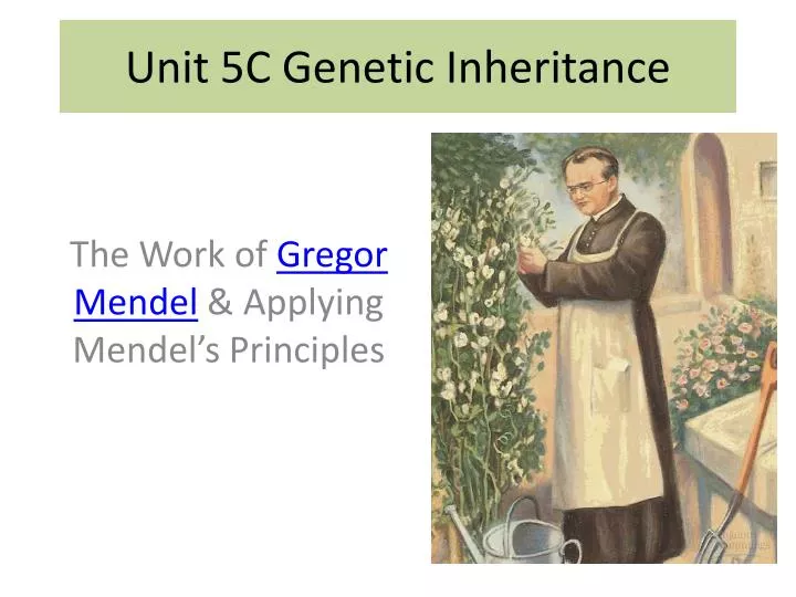 unit 5c genetic inheritance
