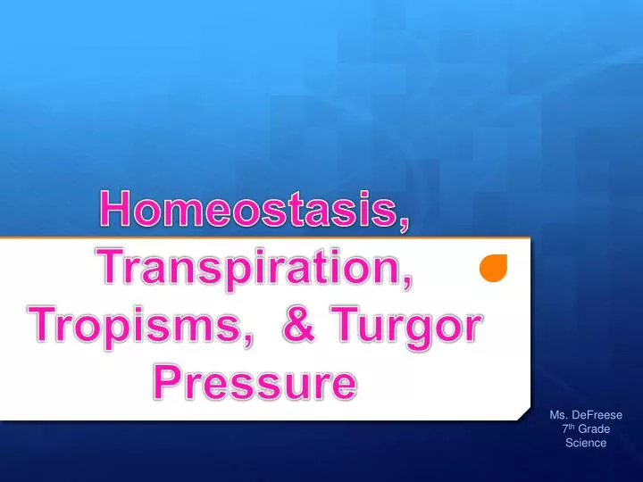 homeostasis transpiration tropisms turgor pressure