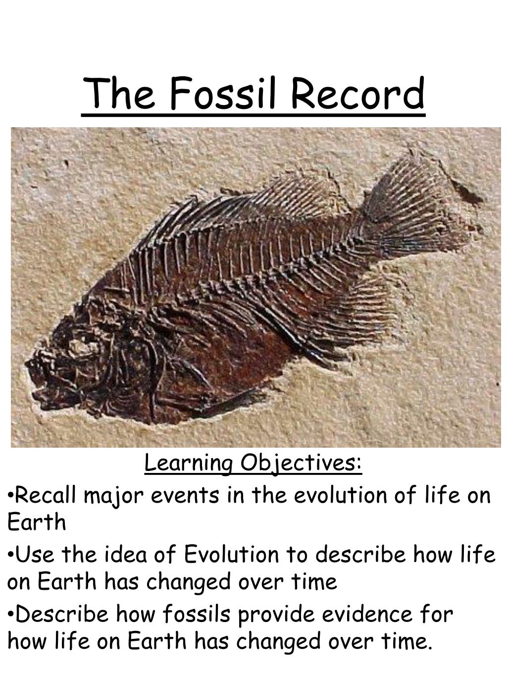 PPT - The Fossil Record PowerPoint Presentation, free download - ID:2164036
