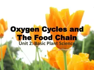 Oxygen Cycles and The Food Chain