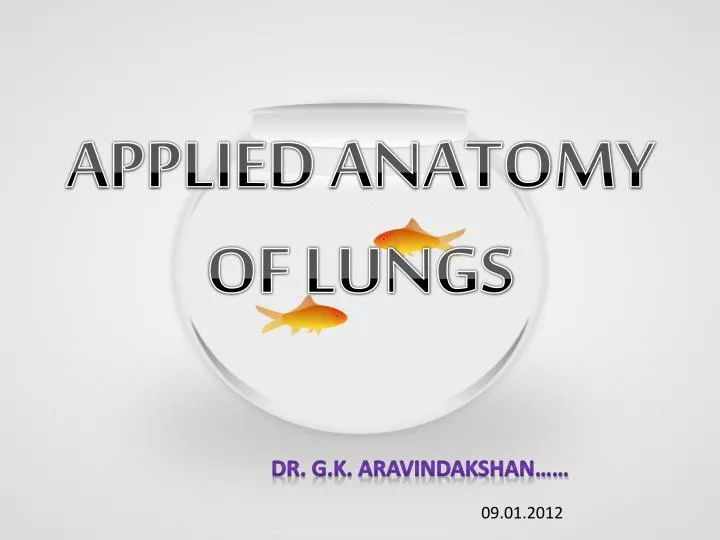 applied anatomy of lungs