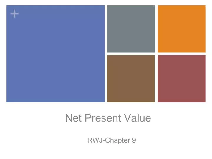 net present value