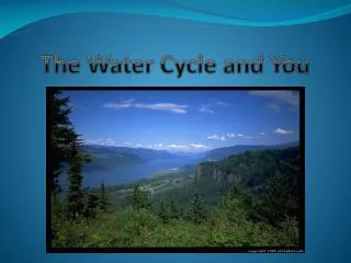 The Water Cycle and You