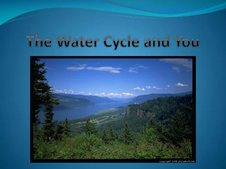 the water cycle and you