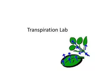 Transpiration Lab