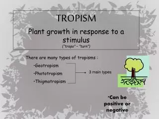 There are many types of tropisms : Geotropism Phototropism Thigmotropism