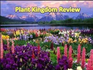 Plant Kingdom Review