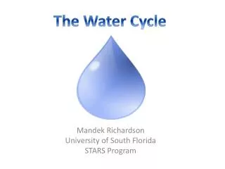 Mandek Richardson University of South Florida STARS Program