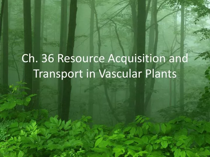ch 36 resource acquisition and transport in vascular plants