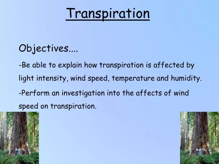 transpiration