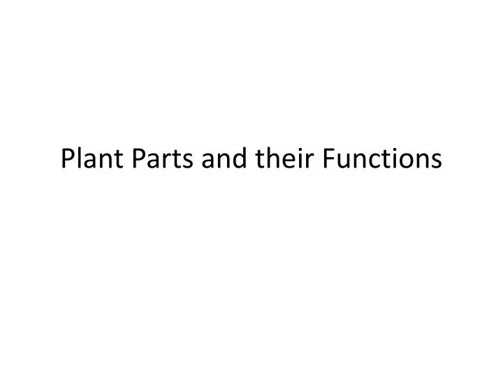 plant parts and their functions