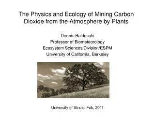 The Physics and Ecology of Mining Carbon Dioxide from the Atmosphere by Plants