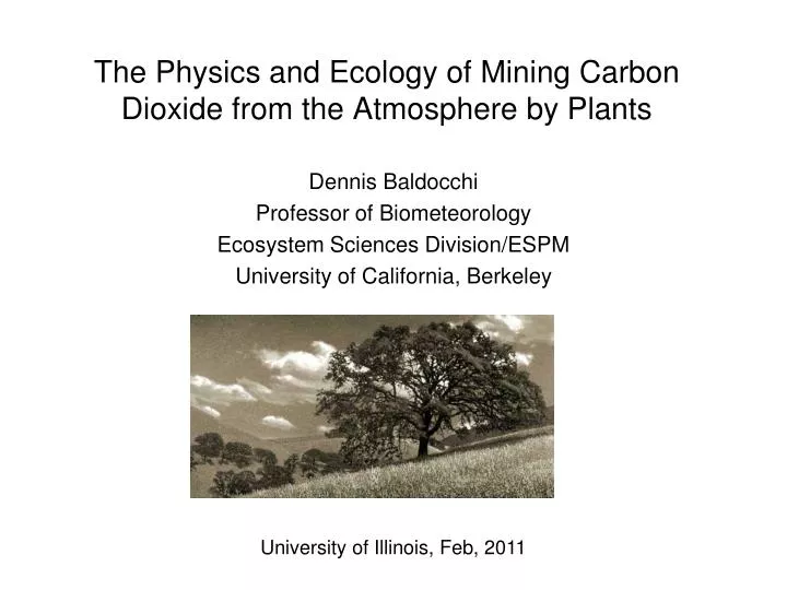 the physics and ecology of mining carbon dioxide from the atmosphere by plants