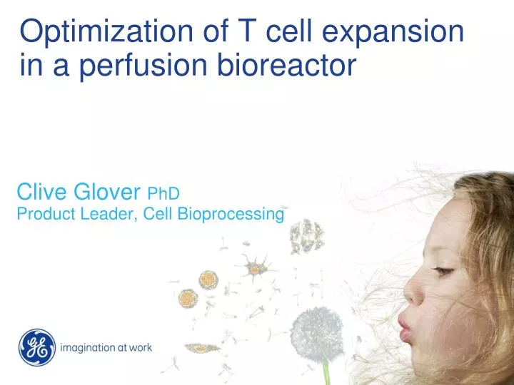 optimization of t cell expansion in a perfusion bioreactor