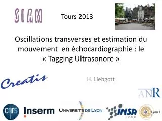 oscillations transverses et estimation du mouvement en chocardiographie le tagging ultrasonore