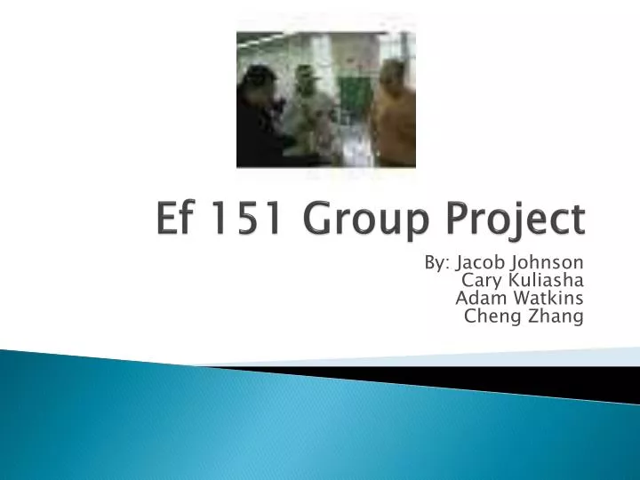 ef 151 group project