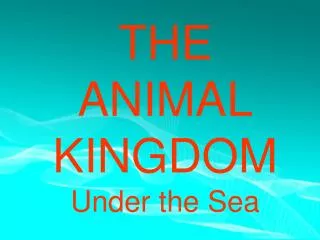 THE ANIMAL KINGDOM Under the Sea