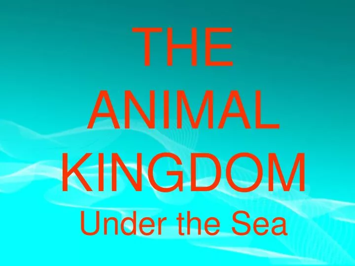 the animal kingdom under the sea