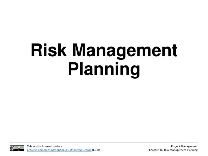 risk management planning