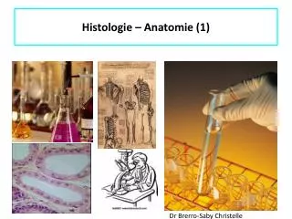 histologie anatomie 1